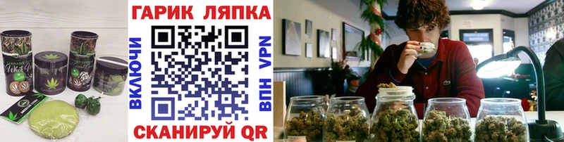 Canna-Cookies марихуана  Бакал 