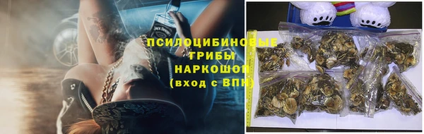 прущие крисы Арсеньев