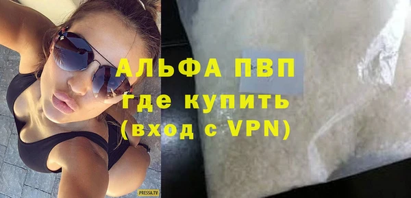 шишки Аркадак
