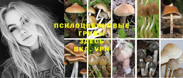 прущие крисы Арсеньев