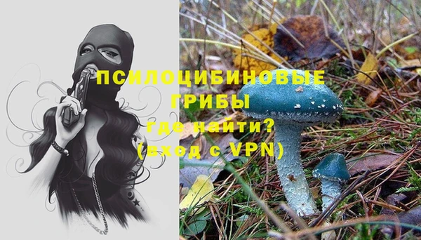 шишки Аркадак