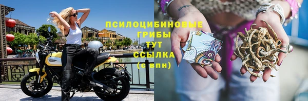 гидропоника Армянск