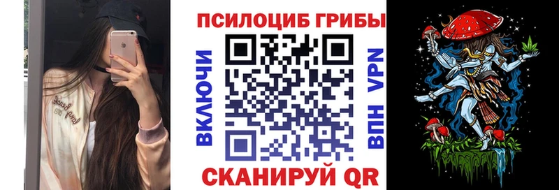 купить закладку  Бакал  Псилоцибиновые грибы GOLDEN TEACHER 